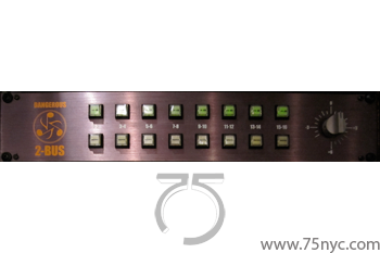 Enlarged view of image